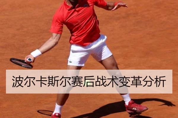 img_1791249428595_781_0_721.jpg（leisu）
